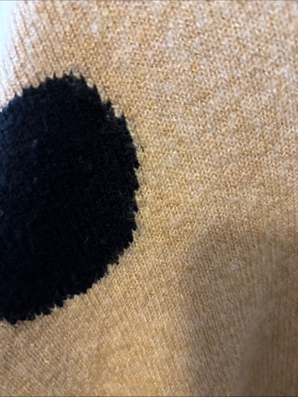Madewell Camel Crewneck Sweater with Black Polka Dots - Picture 3 of 5